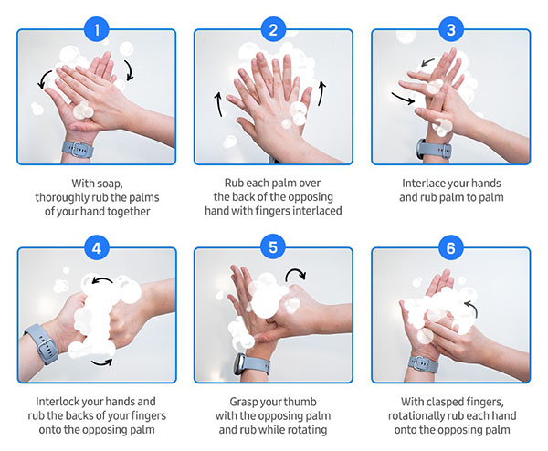 master the six-step handwashing technique. master the six-step handwashing technique.