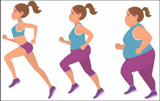 The six most common weight loss misunderstandings.